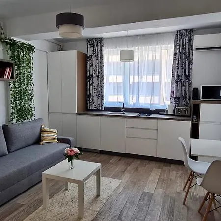 Lotus Sea View - Loft And Nuba * Mamaia